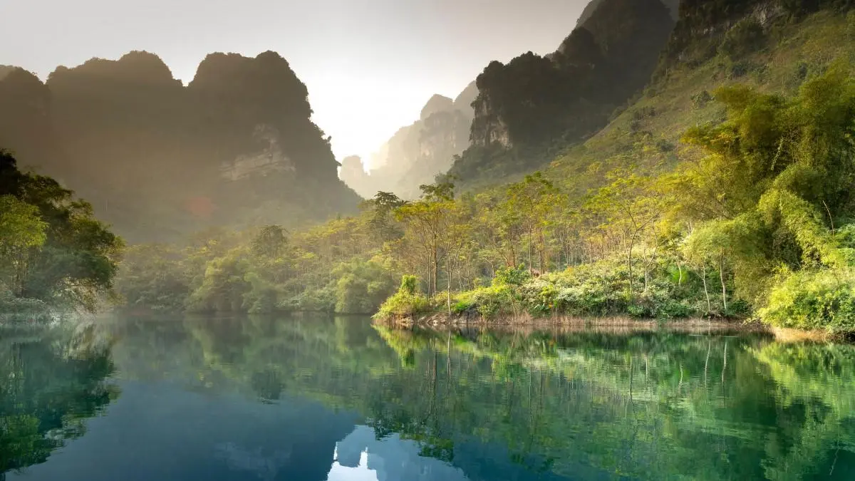 高效高标准智能